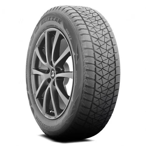 BRIDGESTONE Blizzak DM-V2
