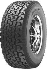ARGUS ADVANTA Advanta A/T