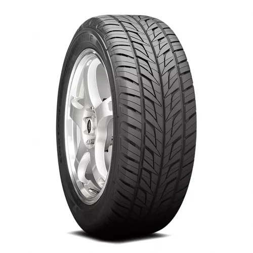 BRIDGESTONE Potenza G019 Grid