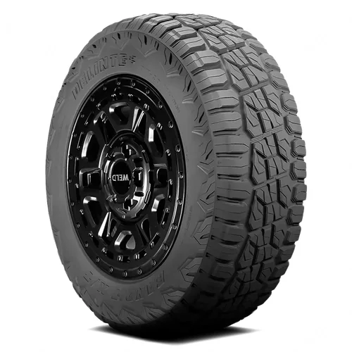 DELINTE DX-20 Bandit X/T