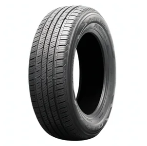 CELIMO Salient CS210