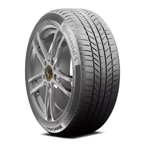 CONTINENTAL Contiwintercontact TS 870 P