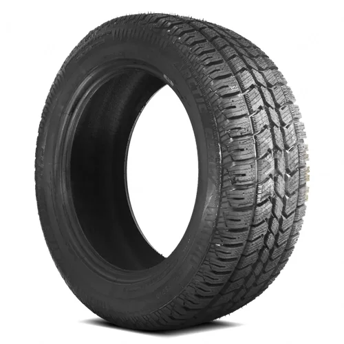 JETZON Arctic Claw Winter Xsi